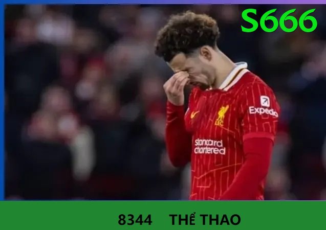 Cá Cược Thể Thao - Ưu đãi đặc biệt - Game chiến thuật